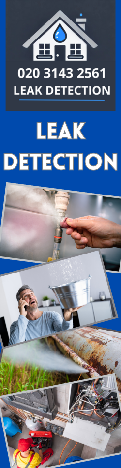 South Cheam Leak Detection