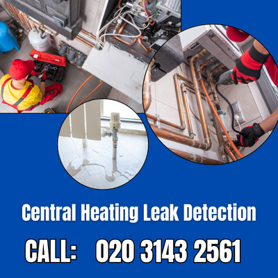 Central Heating Leak Detection Services in South Cheam | South Cheam Leak Detection