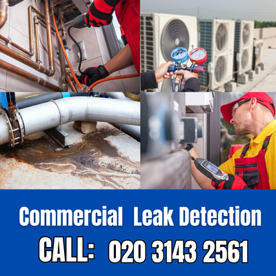 Commercial Leak Detection Services in South Cheam | South Cheam Leak Detection