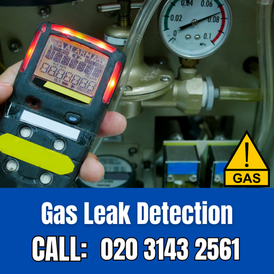 Expert Gas Leak Detection Services in South Cheam | South Cheam Leak Detection