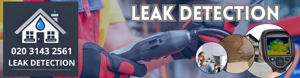 South Cheam Leak Detection