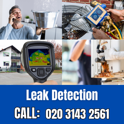 Comprehensive Leak Detection Services in South Cheam | South Cheam Leak Detection