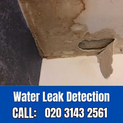 Expert Water Leak Detection Services in South Cheam | South Cheam Leak Detection